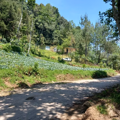 TERRENO EN RENTA EN TECPAN Ideal para parque Ecológico, lugar Celebraciones