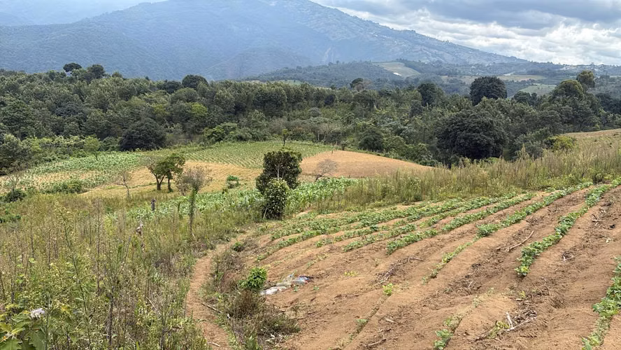 Finca de 27 manzanas en venta en Patzicía – Alto potencial agrícola y productivo