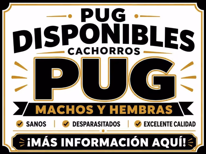 Disponibles Pug Info al 