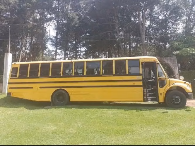 Vendo Bus
