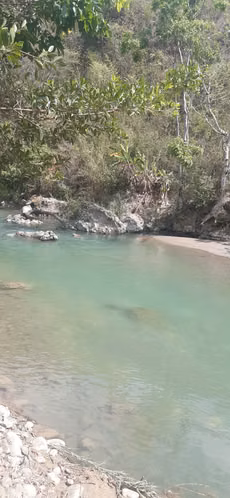 Vendo finca en tucurú