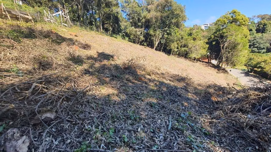 ¡2 Terrenos en Colinas de Castel CAES por Solo $150,000! | Oportunidad Única para Invertir | PV - Imagen 2
