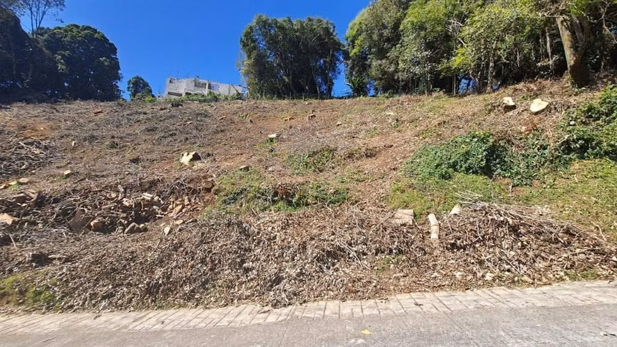 ¡2 Terrenos en Colinas de Castel CAES por Solo $150,000! | Oportunidad Única para Invertir | PV - Imagen 4