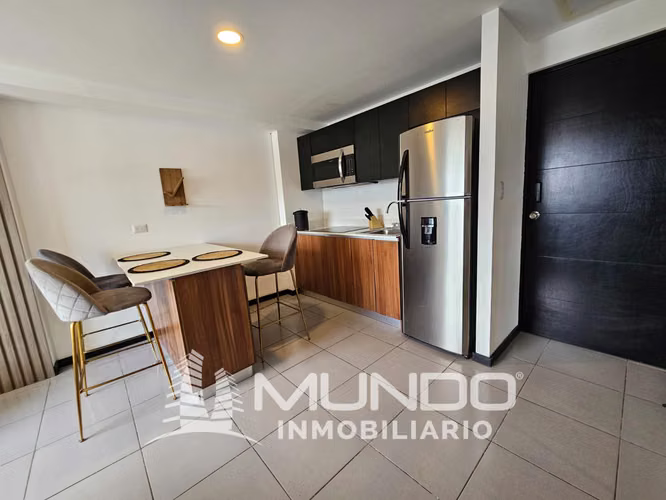 APARTAMENTO AMUEBLADO EN VENTA EN ZONA 14 - Miniatura 4