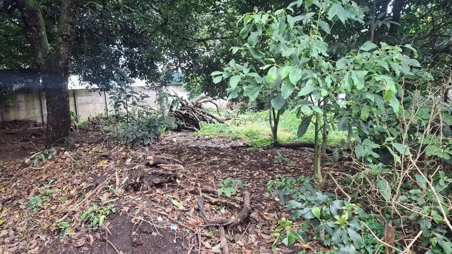 Terreno de 584.62m2  en venta CAES condominio labor rosario km25 jurisdiccion Villa Canales - Imagen 5