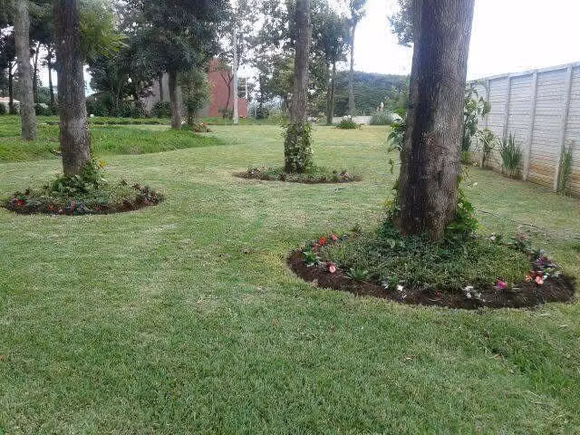 Terreno en Chimaltenango - Imagen 4