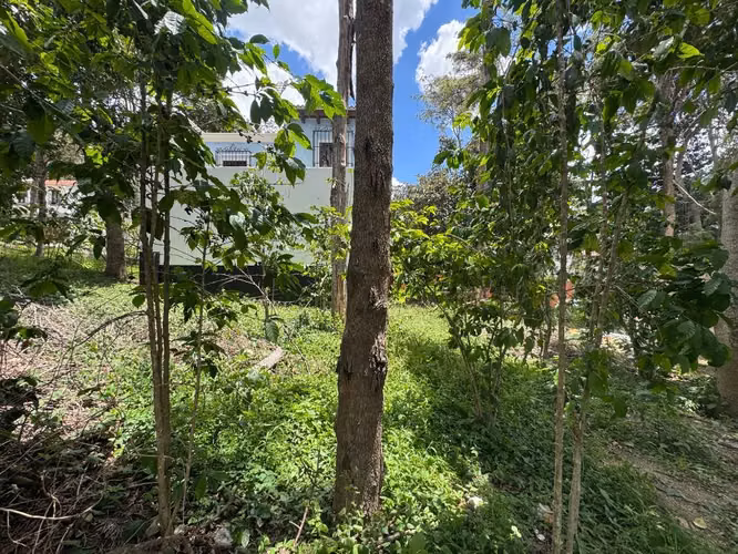 Terreno dentro de condominio a minutos de Antigua - Imagen 4
