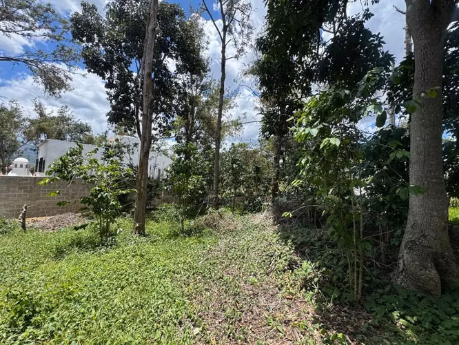 Terreno dentro de condominio a minutos de Antigua - Imagen 3