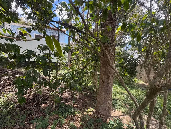 Terreno dentro de condominio a minutos de Antigua - Imagen 2
