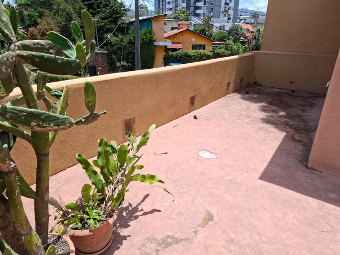 Amplía casa en Bosques de San Nicolás - Imagen 16
