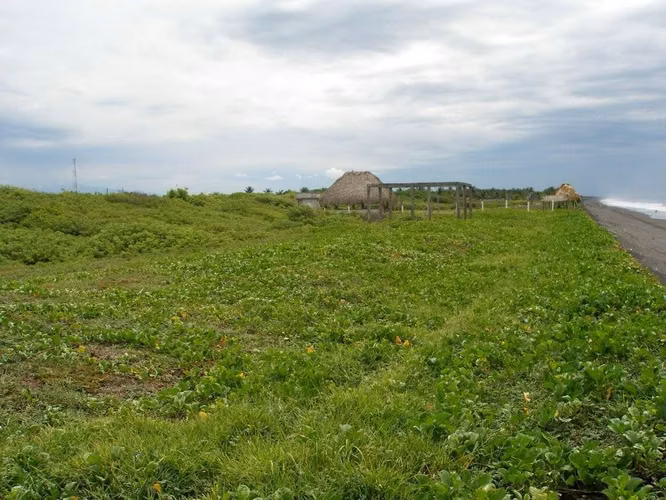 TERRENO FRENTE AL MAR | 41,000 V² | MONTERRICO SALIDA A LA PLAYA | CERCANO A OCEANA | PV