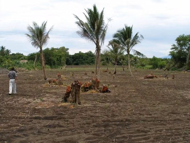 TERRENO FRENTE AL MAR | 41,000 V² | MONTERRICO SALIDA A LA PLAYA | CERCANO A OCEANA | PV