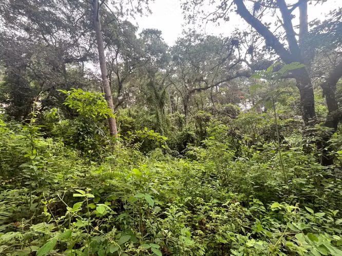 Terreno en Venta El Encinal | 4,782 v², 2 Pozos Propios y Cercado | PV