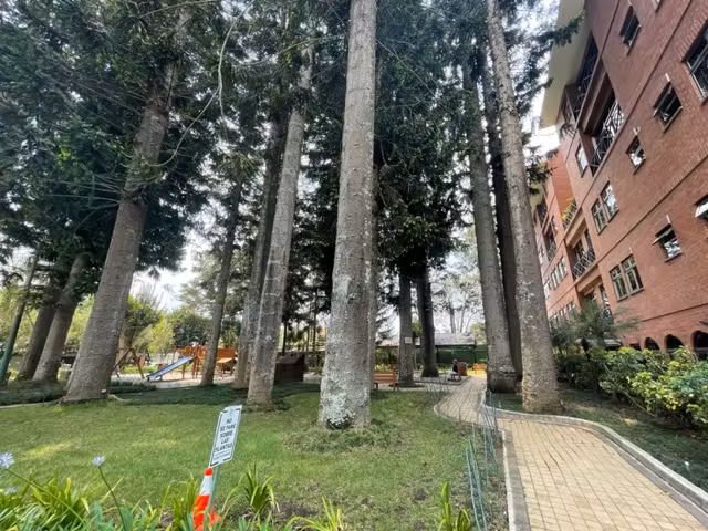 Rento apartamento en Zona 10 OAKLAND EDIFICIO EXCLUSIVO - Imagen 18