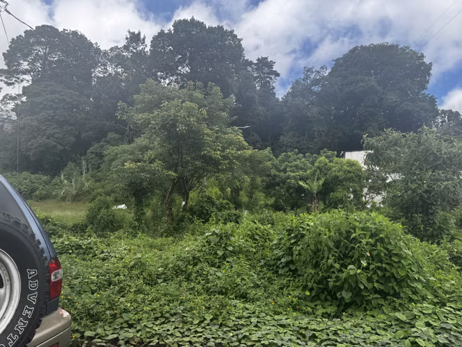 terreno con preduccion de Aguacate - Imagen 1