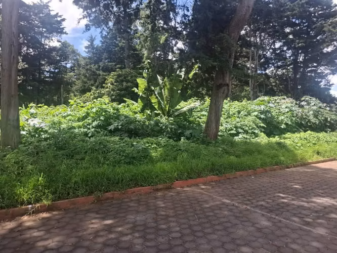Vendo 4 Terrenos 15x25 Metros Jardines de San Lucas Sacatepéquez - Imagen 4