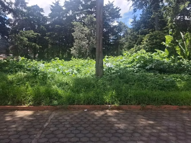 Vendo 4 Terrenos 15x25 Metros Jardines de San Lucas Sacatepéquez - Imagen 6