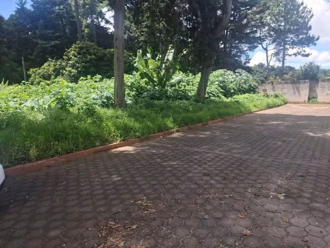 Vendo 4 Terrenos 15x25 Metros Jardines de San Lucas Sacatepéquez - Imagen 2