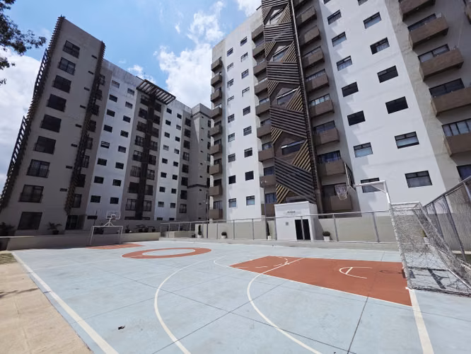 RENTO APARTAMENTO AMUEBLADO 2 HAB EN DIFIORI ZONA 7