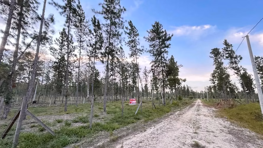 Lote de 20x24 poptun Petén - Imagen 2