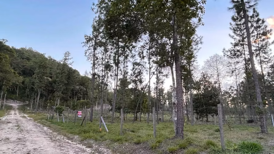 Lote de 20x24 poptun Petén