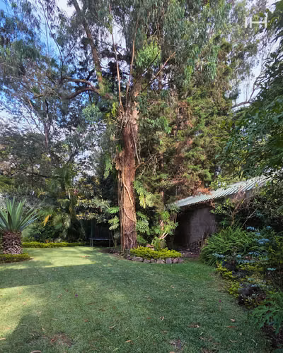 TERRENO EN VENTA ZONA 16, ACATAN