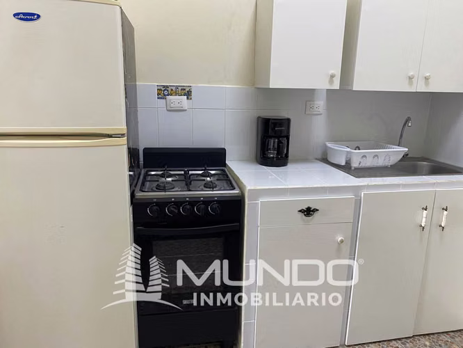 APARTAMENTO AMUEBLADO EN RENTA EN ZONA 9 - Imagen 5