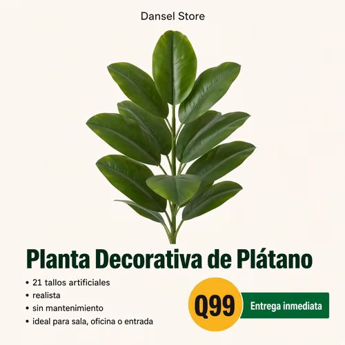 Todo lo que necesitas para tu hogar lo encuentras en Dansel Store 