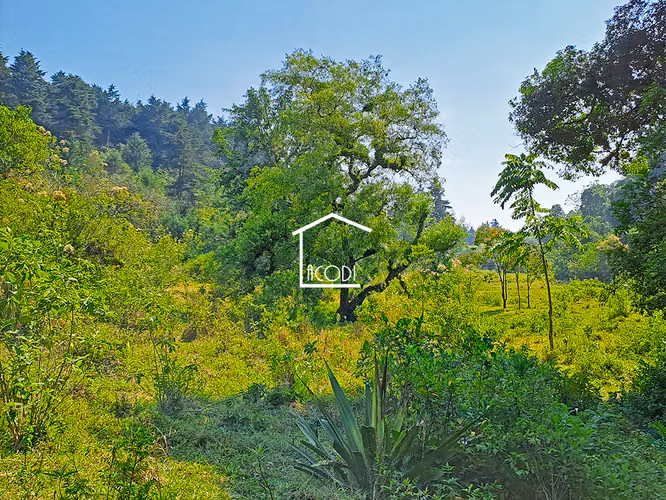 Terreno en El Pajón, Santa Catarina Pinula - Imagen 3