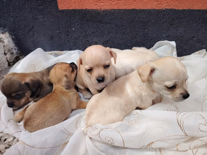 El precio varía en algunos  - Imagen 2
