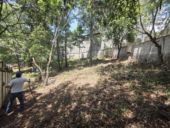 Zona 16 Kanajuyú terreno en venta|3,880v² Ideal Desarrollo Residencial Valor US$776,140 ($200 USD/v²) - Imagen 13