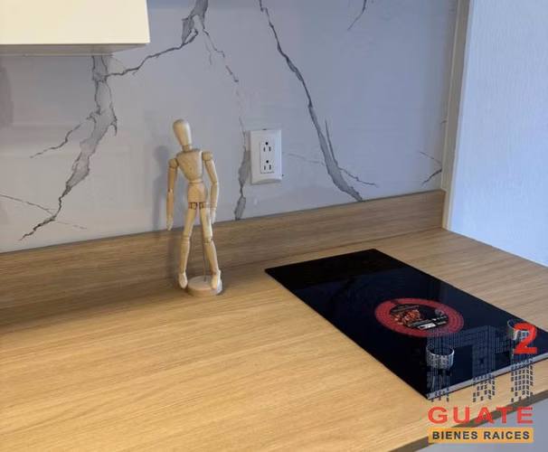 Apartamento en Renta, Zona 09 - Imagen 8
