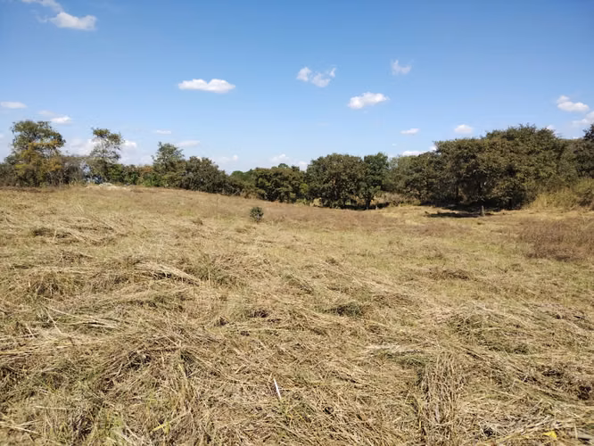TERRENO EN VENTA EN ZONA 18 – OPORTUNIDAD PARA DESARROLLO INMOBILIARIO - Miniatura 2