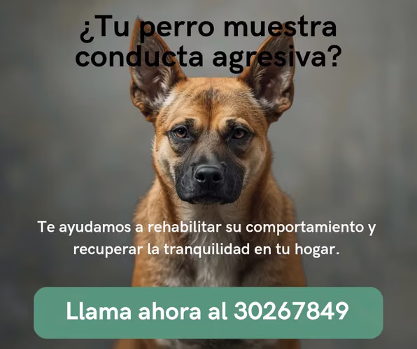 Escuela Canina Canille