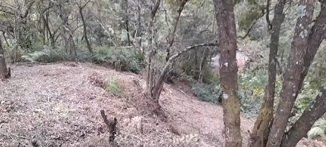 Terreno en Km 16 Carretera a El Salvador - Imagen 4