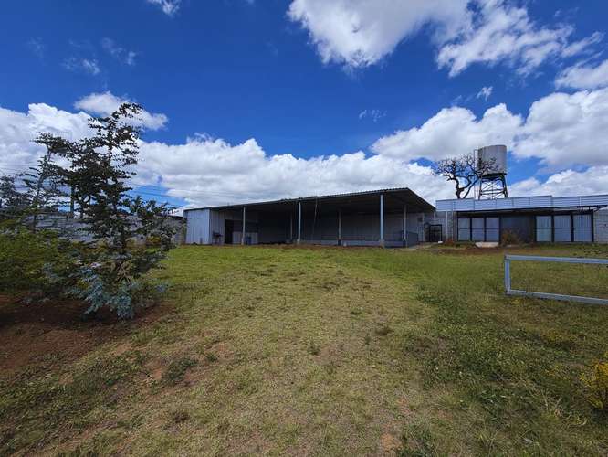 TERRENO EN RENTA EN SAN LUISITO PASTORES