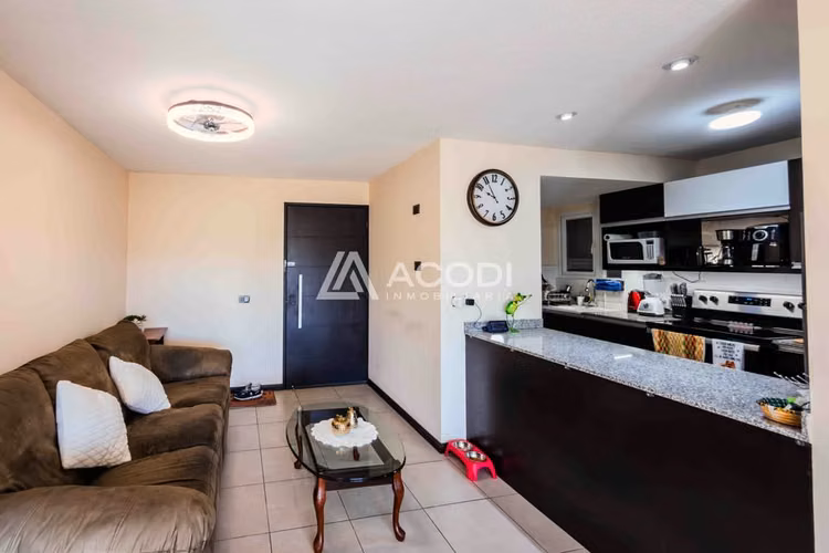 Apartamento en Zona 5 - Imagen 4