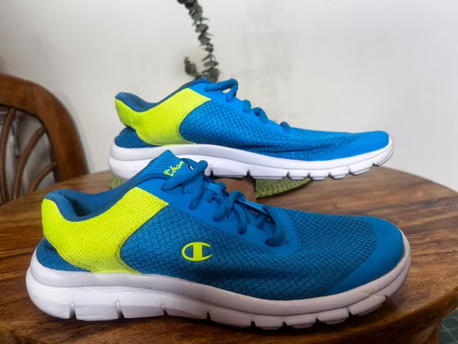 Zapatos y Tenis 