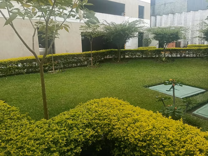 RENTO APTO ZONA 1, HISTORICO 1, REF.6943 - Imagen 3