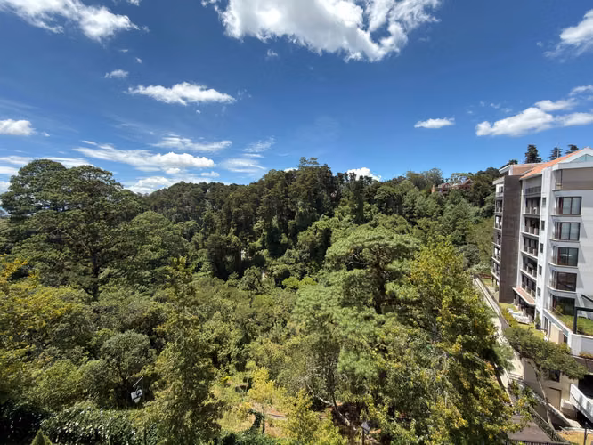 Renta de Amplio Apartamento en Albereda de la Española Muxbal | 3 Habitaciones completas + servicio
