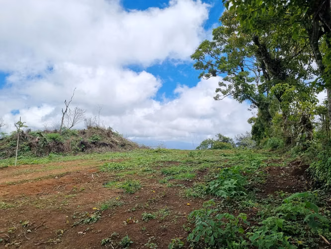 Terreno en Venta de 3 Manzanas sobre Carretera – Santo Domingo Xenacoj