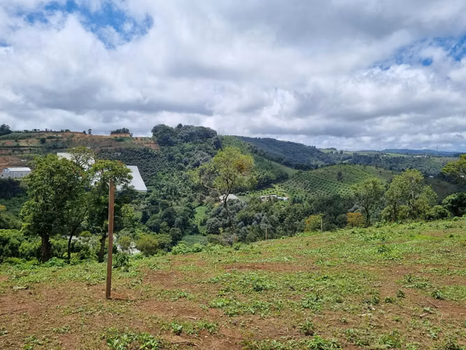 Terreno en Venta de 3 Manzanas sobre Carretera – Santo Domingo Xenacoj