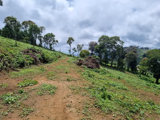 Terreno en Venta de 3 Manzanas sobre Carretera – Santo Domingo Xenacoj