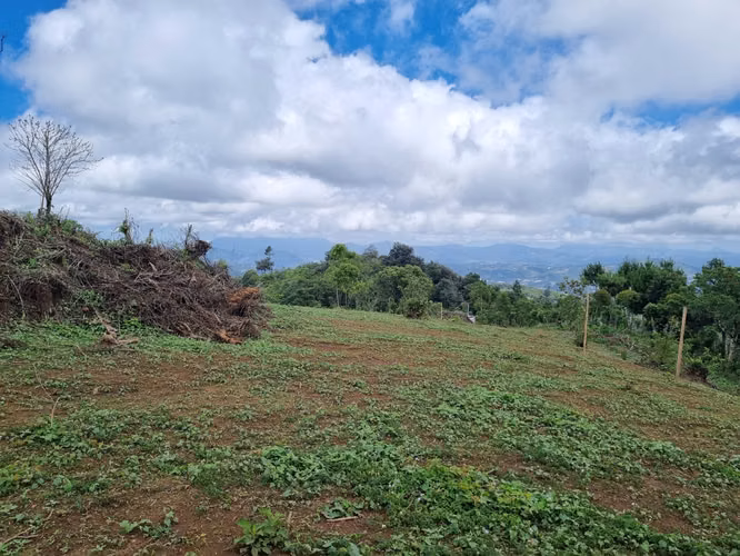 Terreno en Venta de 3 Manzanas sobre Carretera – Santo Domingo Xenacoj