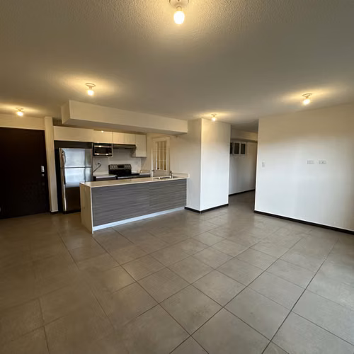 Apartamento en Mariscal, Zona 11 - Imagen 2