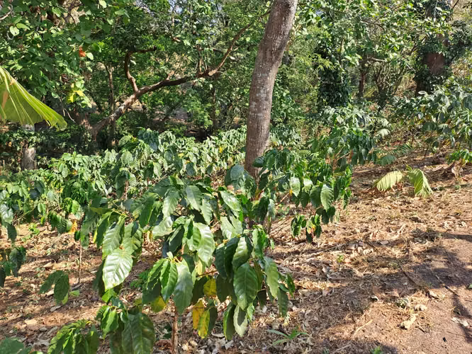 Terreno en El Obrajuelo, Villa Canales