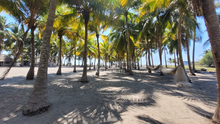 Se vende tamplio terreno frente al mar en Tulate,Retalhuleu