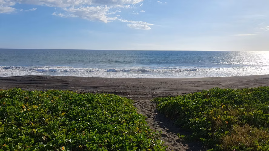 Casa de playa frente al mar establecida para renta