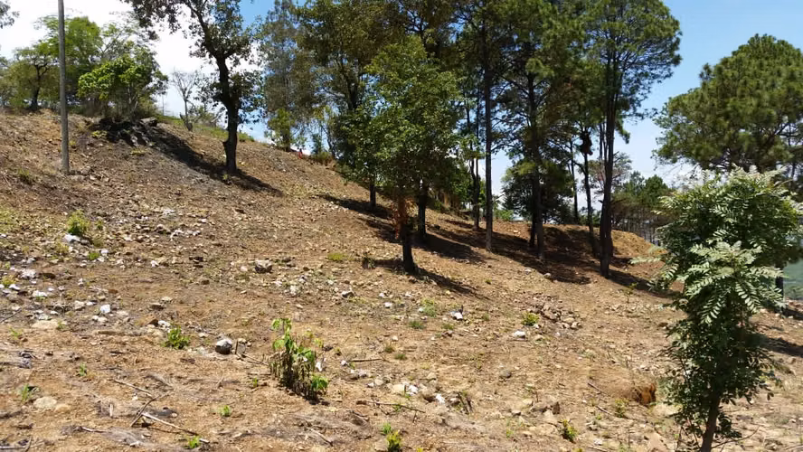 Terreno de 3 Manzanas sobre CA-9 | Ideal para Proyecto Industrial