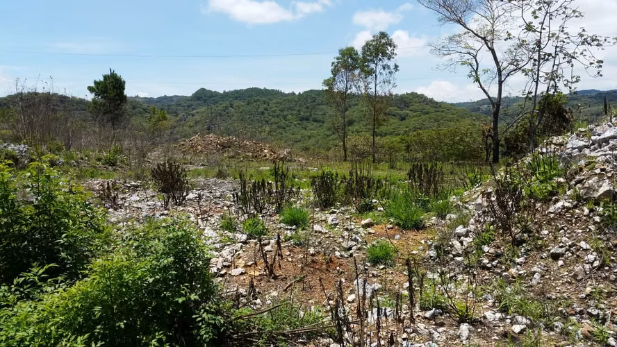Terreno de 3 Manzanas sobre CA-9 | Ideal para Proyecto Industrial